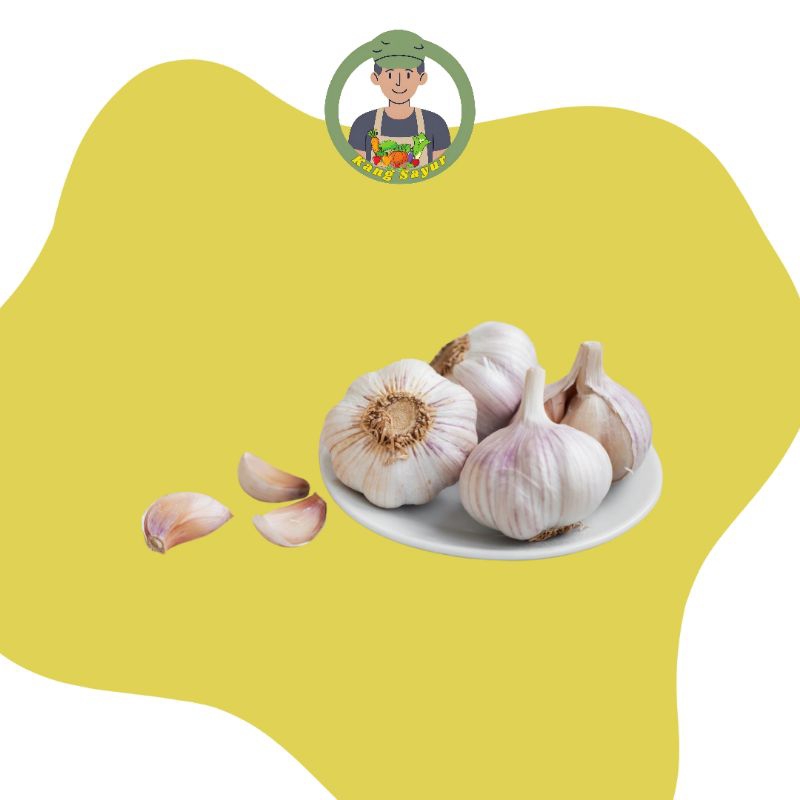 

Bawang Putih