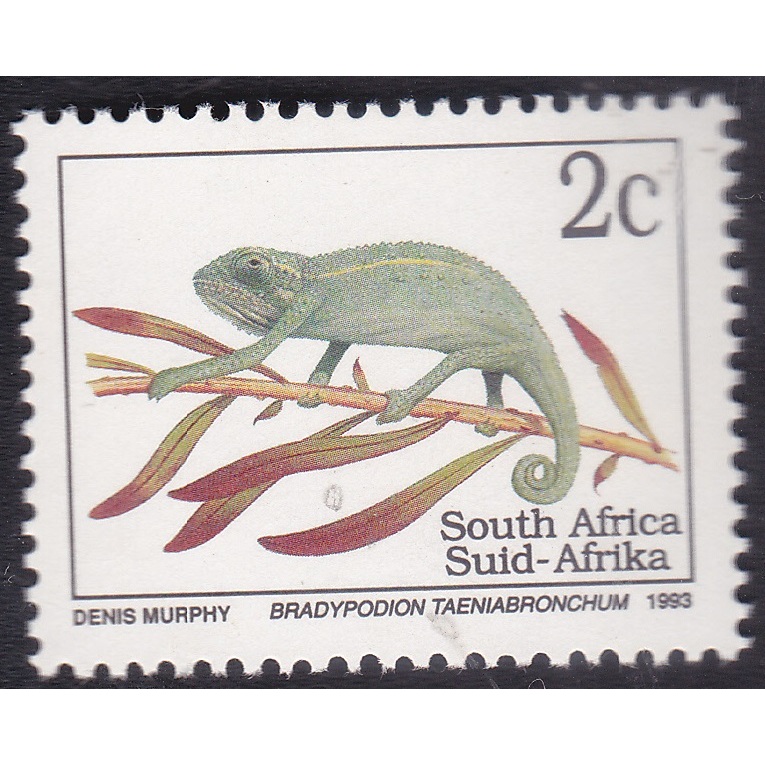 

A 12209 SATU BUAH PRANGKO SOUTH AFRICA NOMINAL 2C TEMA SATWA BRADYPODION TAENABRONCHUM DENGAN KONDISI MNH MINT NEVER HINGED