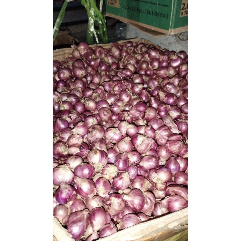 

BAWANG MERAH LOKAL BREBES 500 GRAM(bukan brambang karet)