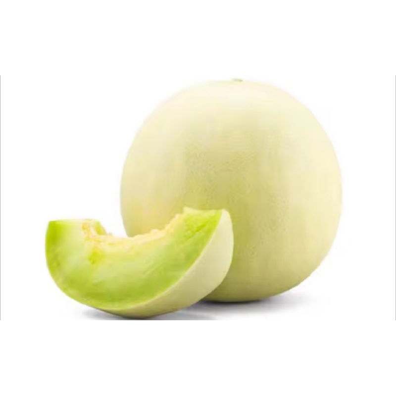 

5 Butir - BENIH MELON MADU SUPER