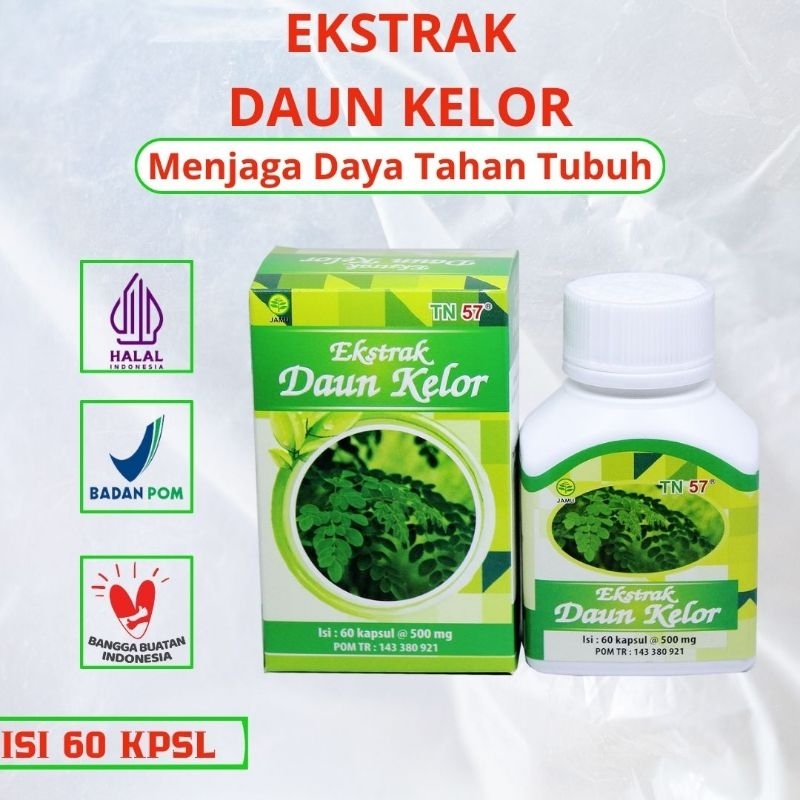 EKSTRAK DAUN KELOR
