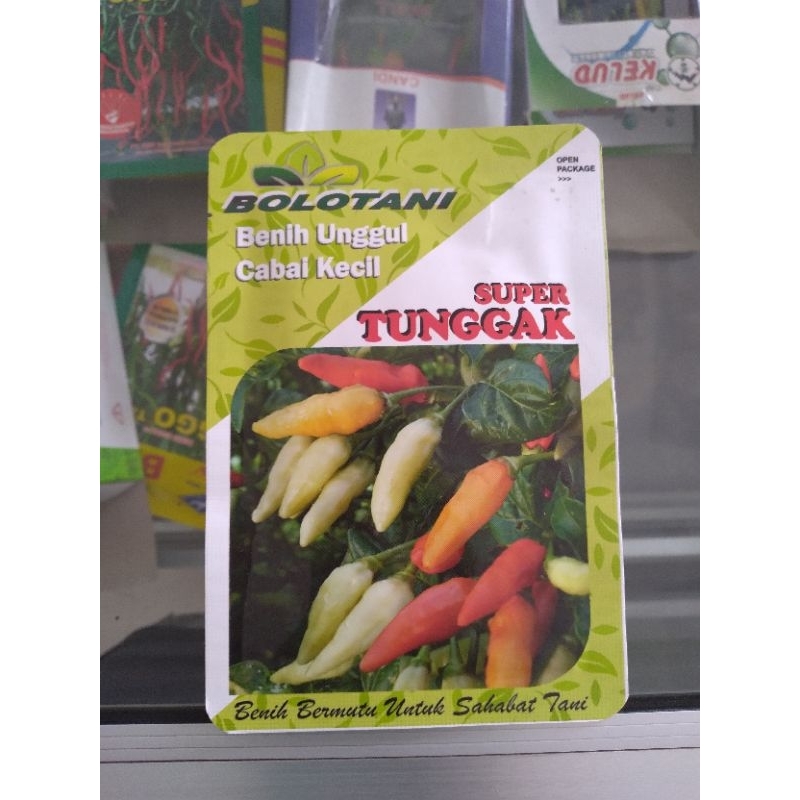 Benih cabai kecil unggul Super Tunggak