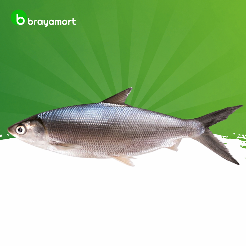 

Ikan bandeng 1kg Brayamart