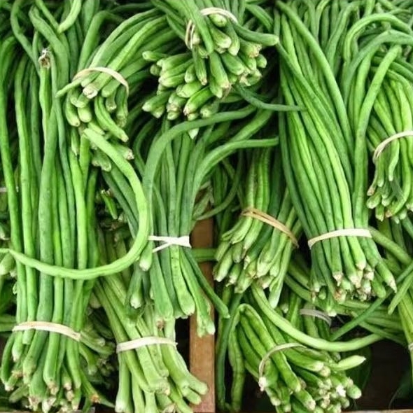 

Kacang panjang 500gr