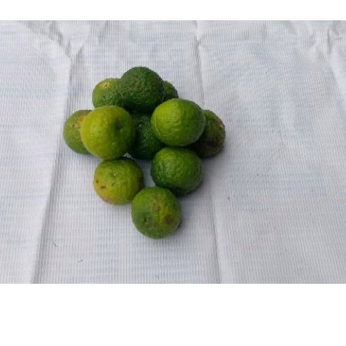

jeruk limo 6 buah