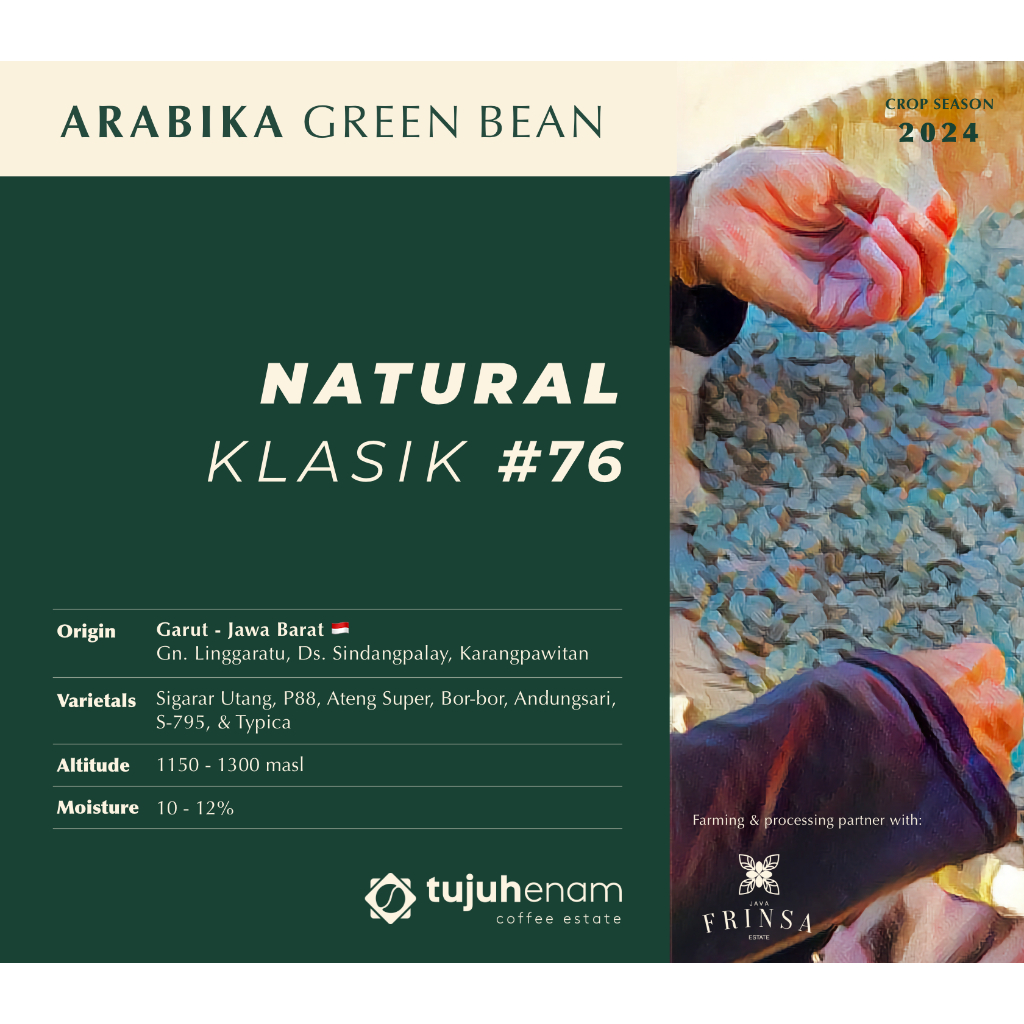 

Green Bean Arabika - NATURAL #76 Klasik Garut Sindangpalay | GB Biji Mentah | Kopi Tujuhenam 76