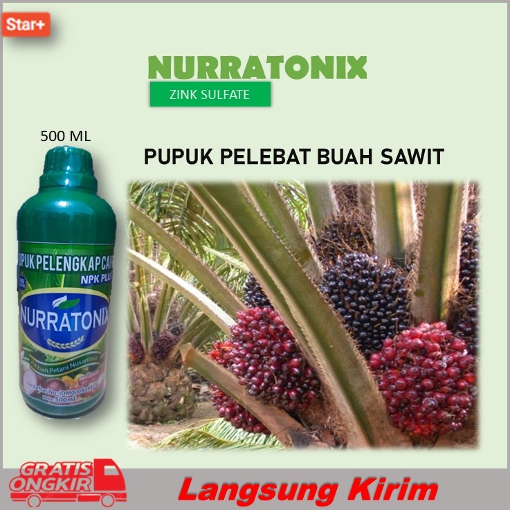Pupuk Pelebat Buah Kelapa Sawit PUPUK PELENGKAP CAIR NPK PLUS ANTI JAMUR ZPT + GA7 NURATONIX 500ML