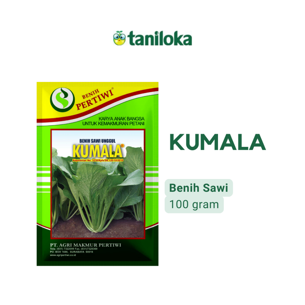 Benih Pertiwi - Benih Sawi Kumala (100 Gram)