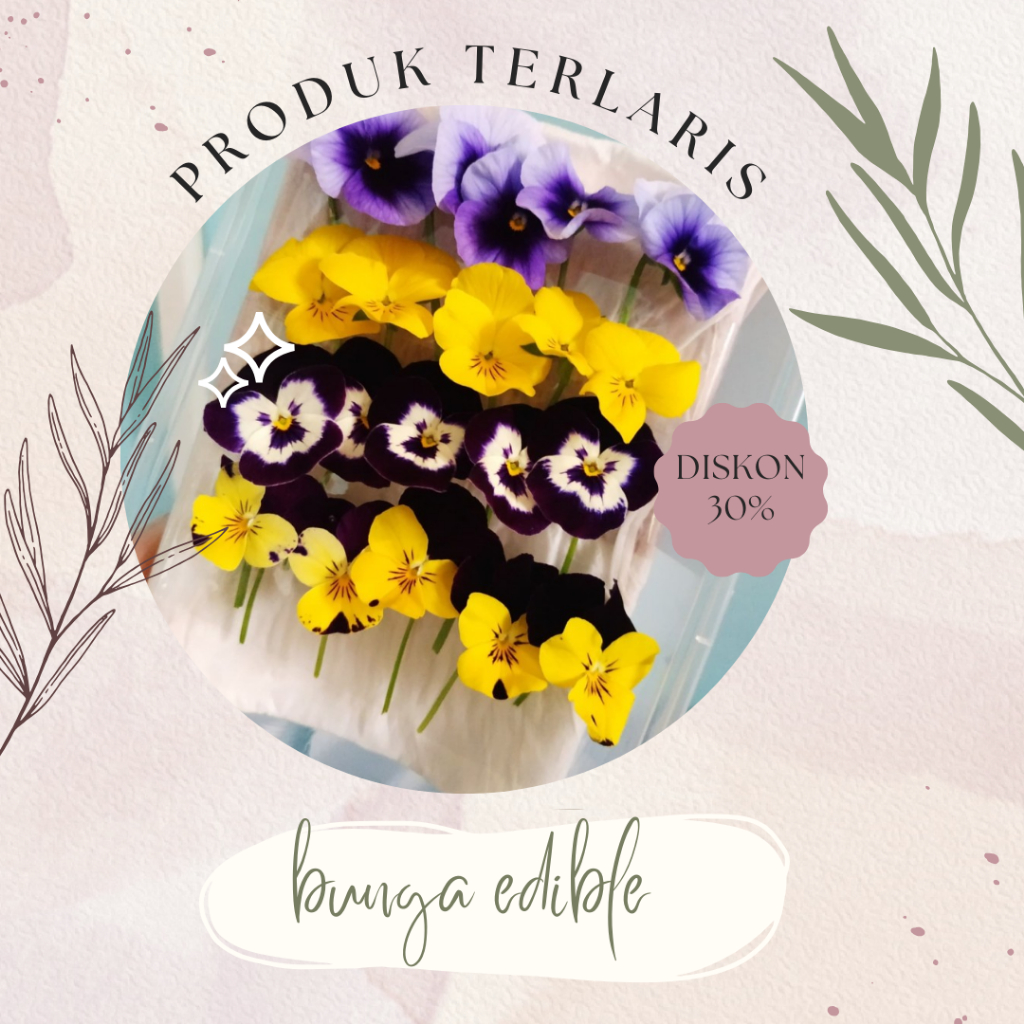 

VIOLA EDIBLE FLOWER ISI 20 PCS BEST SELLER