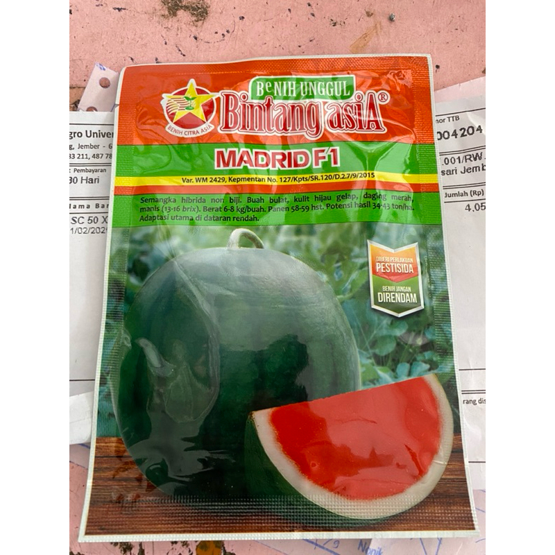 benih semangka madrid f1