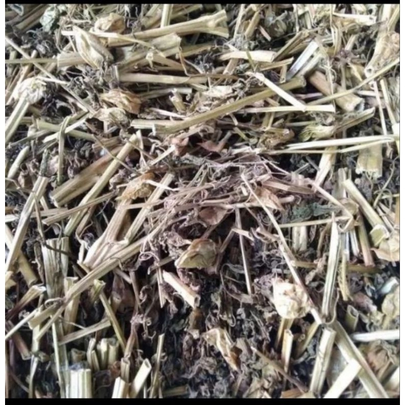 

Daun Ciplukan Kering 500gr Daun Ciplukan Herbal tradisional
