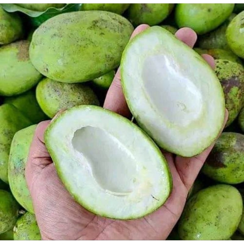 

mangga muda isi 500 gram