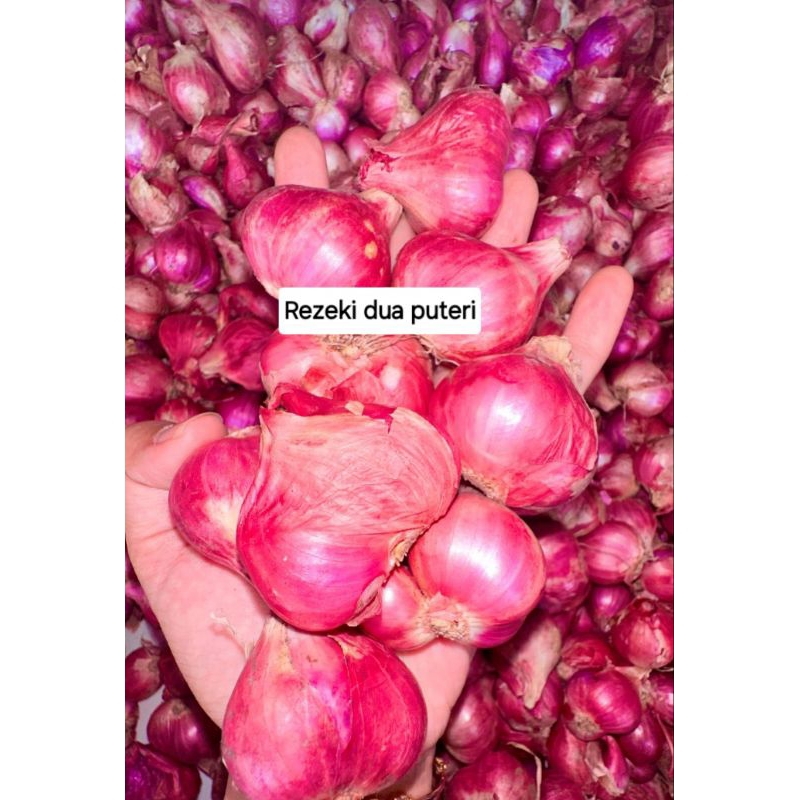 

BAWANG MERAH 1 KG,FRESH,SUPER BESAR, KERING, KUALITAS TERBAIK