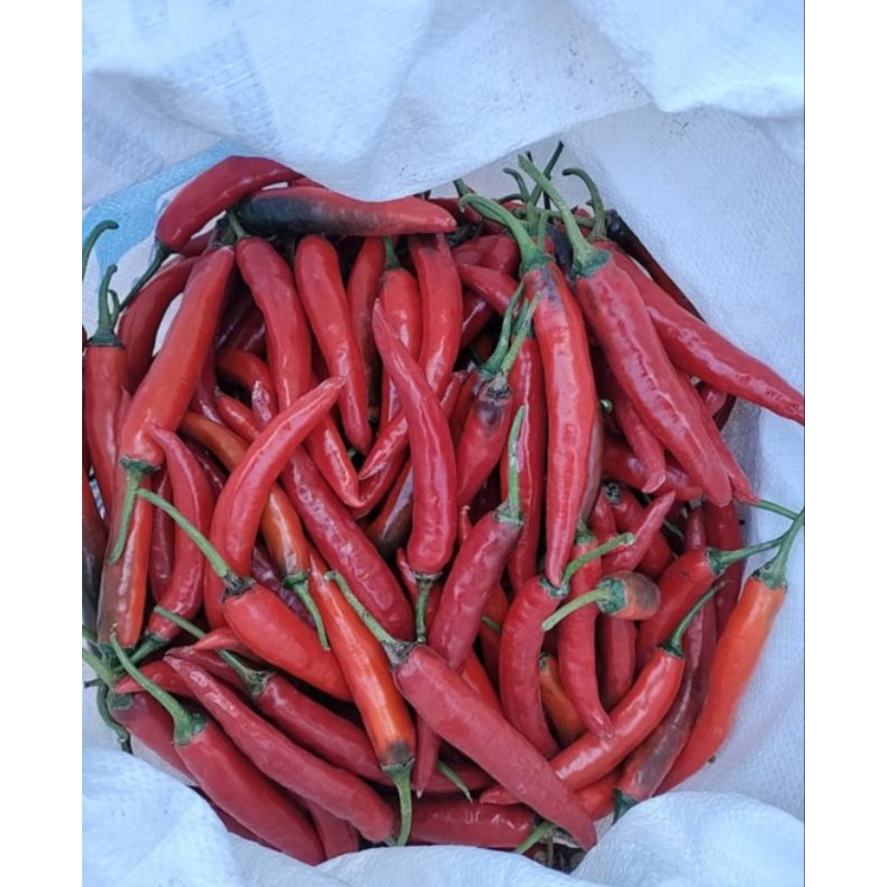 

cabe merah besar 1kg