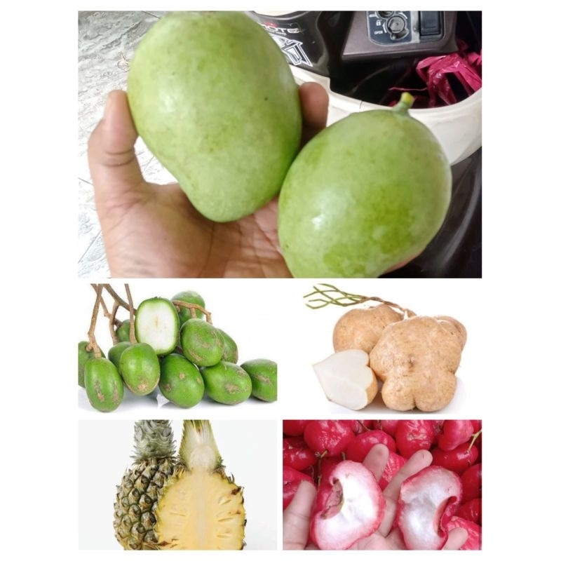 

RUJAKAN KUMPLIT ISI 1KG