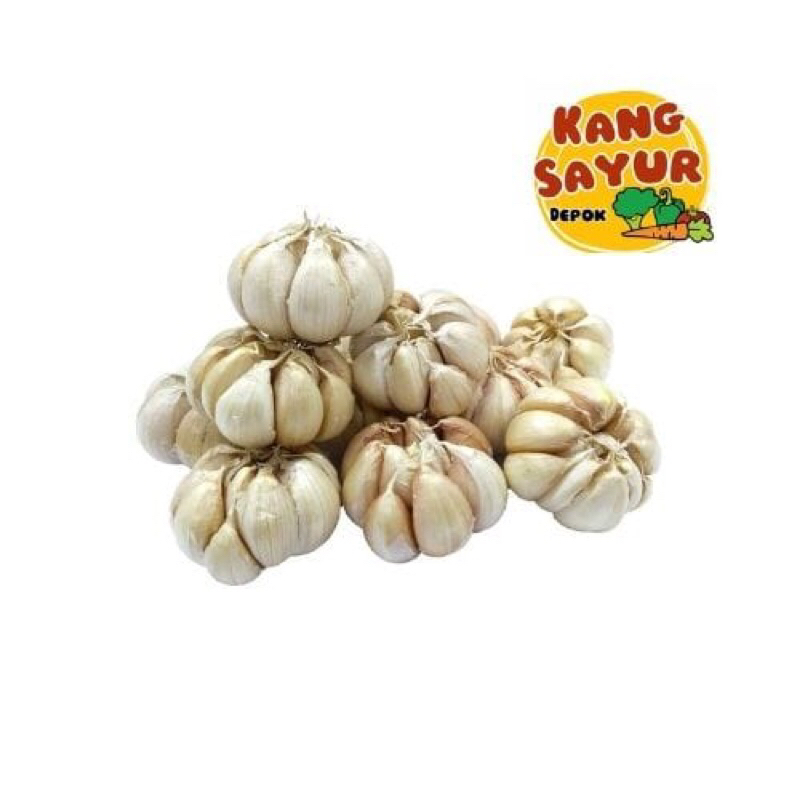 

BAWANG PUTIH BULAT