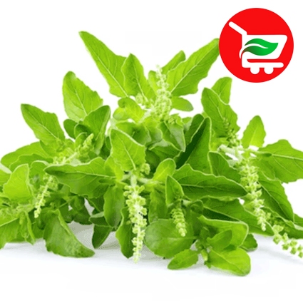 

Daun kemangi per: ikat 150g