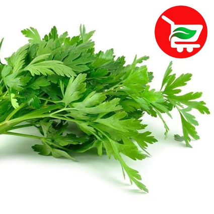 

Sayur daun seledri per: 250g