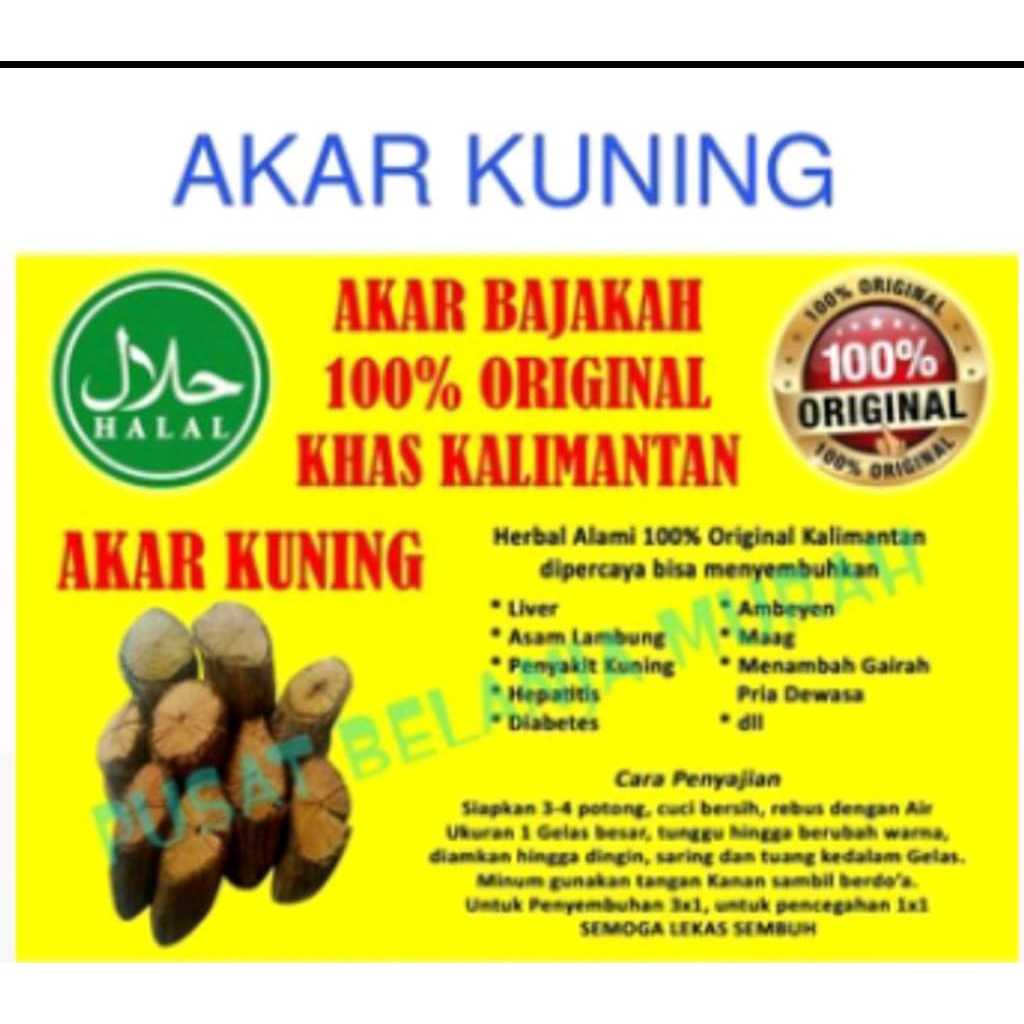 

Akar Bajakah Kuning Asli Kalimantan