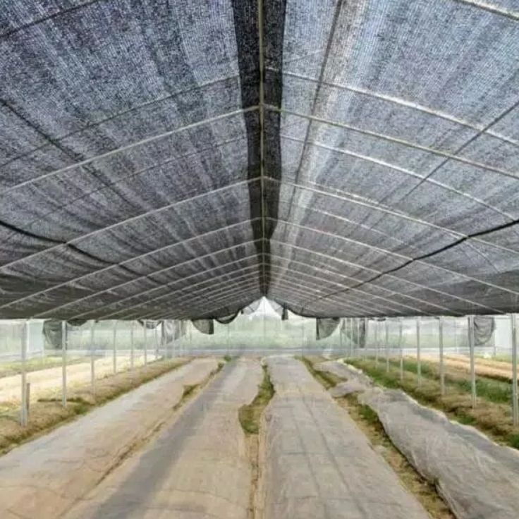 Get It  Paranet 75 Panjang 1 Meter x Lebar 3 Meter Jaring waring paranet