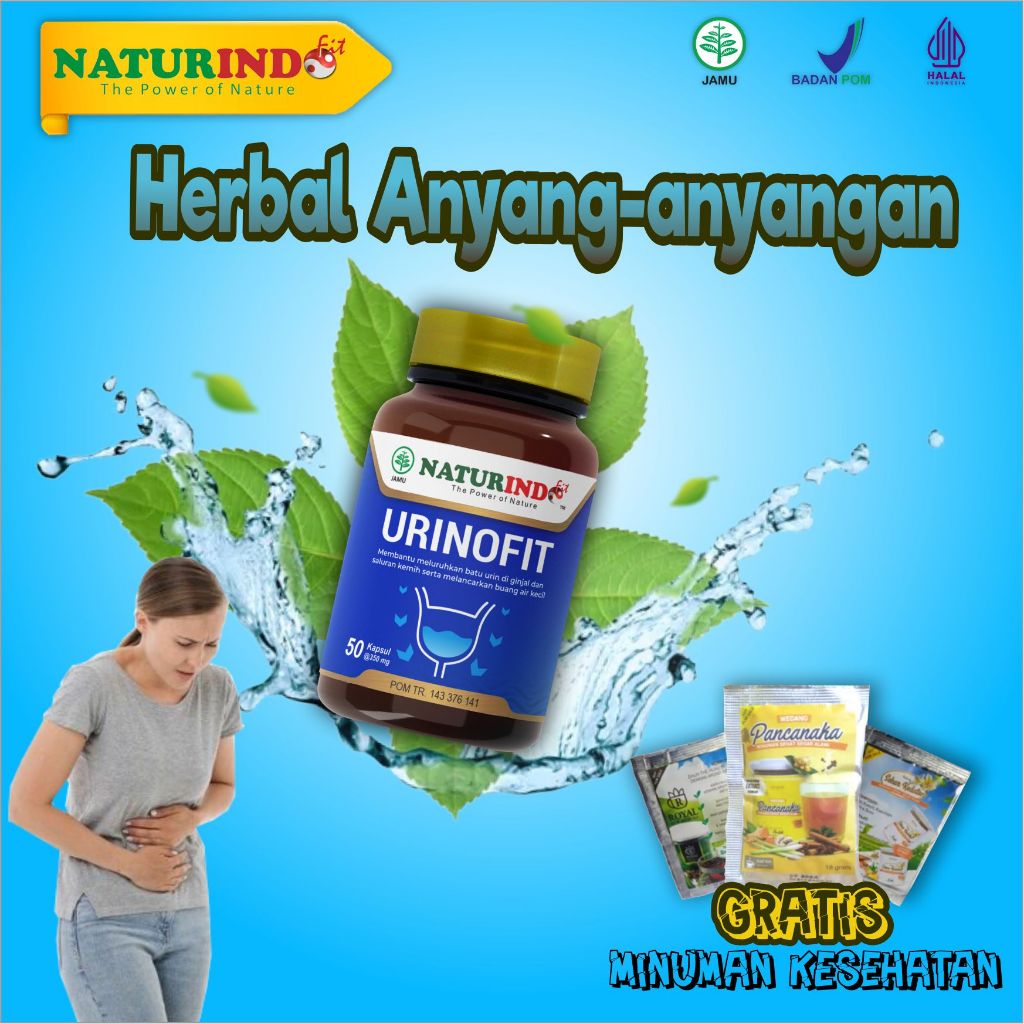 Obat Anyang Anyangan Obat Beser Sering Buang Air Kecil Ngompol ISK URINOFIT