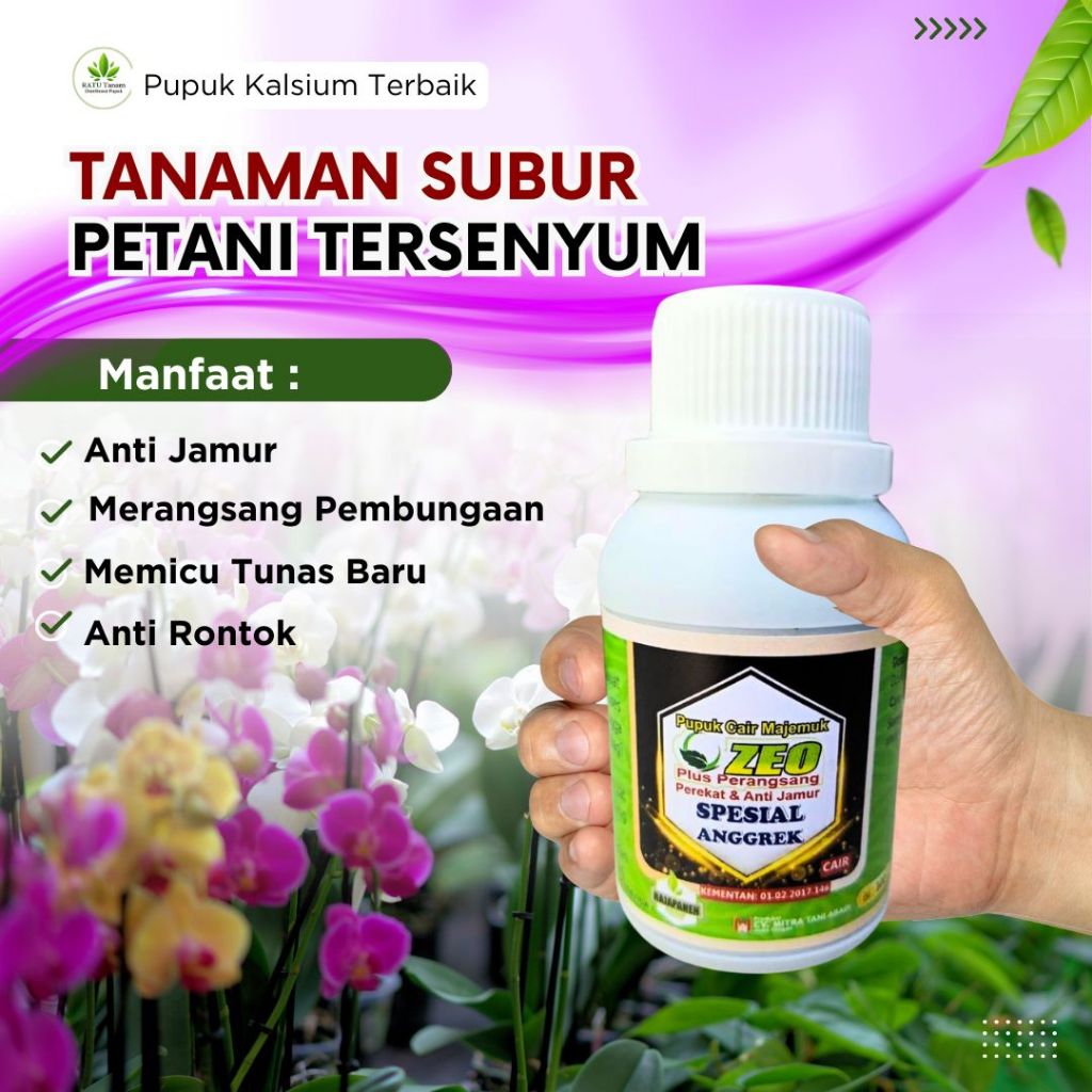 Pupuk Anggrek Agar Cepat Berbunga, Pupuk Anggrek Bulan ANTI JAMUR