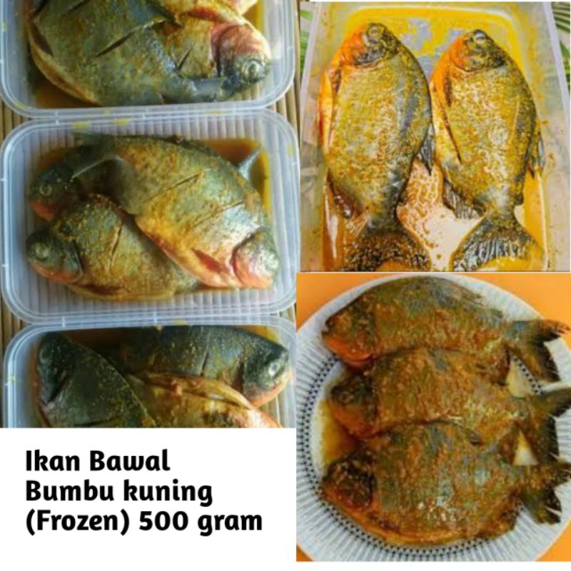 

Ikan bawal bumbu kuning/Marinasi 500gram (Frozen)