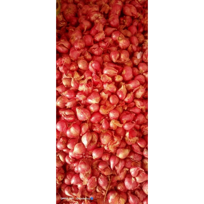 

bawang merah Probolinggo kering fresh 1kg