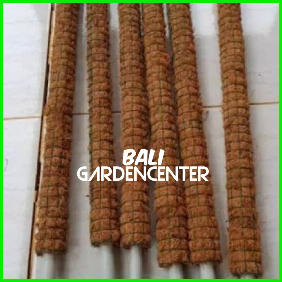 Turus Penyangga Tanaman Rambat - Turus Rambatan Tanaman