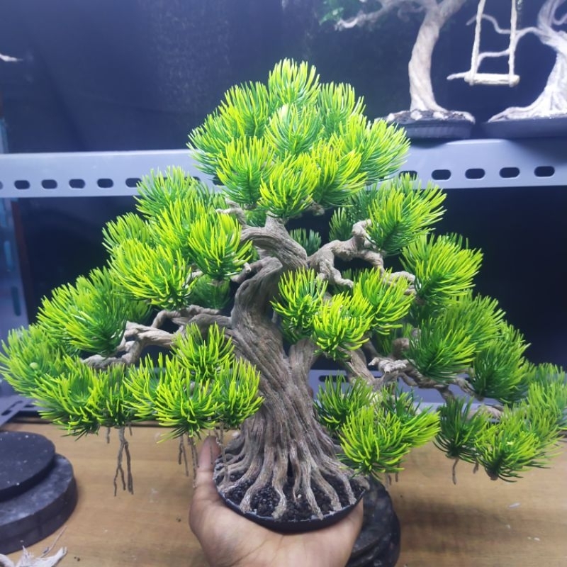 Bonsai Cemara artificial hiasan aquarium pajangan meja