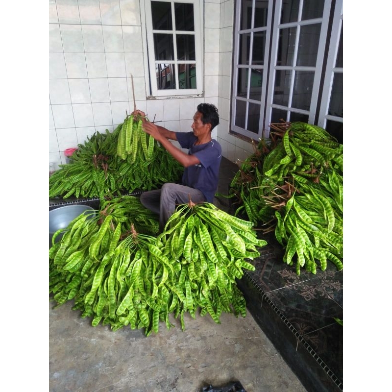 

pete daerah,isi per 3 papan