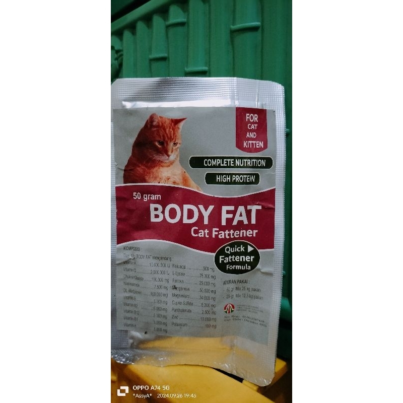 Body fat protein Kucing