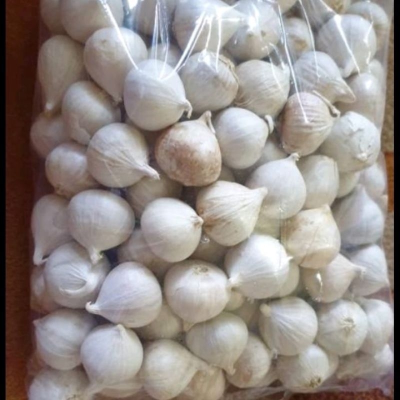 

Bawang Putih Tunggal Impor Fresh 500 gram