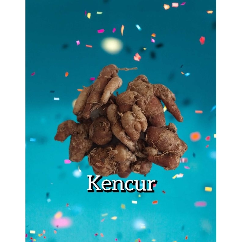 

Kencur 1Kg Kencur Utuh Tua Untuk Bumbu Seblak Dan Lainnya
