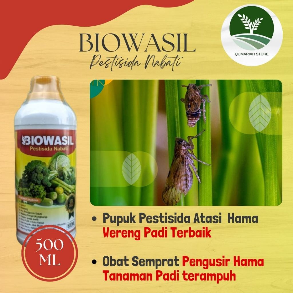 paling laris BIOWASIL 500ml pestisida wereng padi paling ampuh - Obat semprot pengusir hama wereng p
