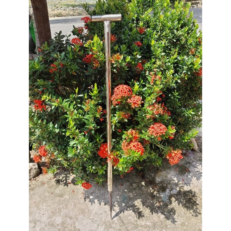 Tojok Sawit stainless Alat Panen Sawit