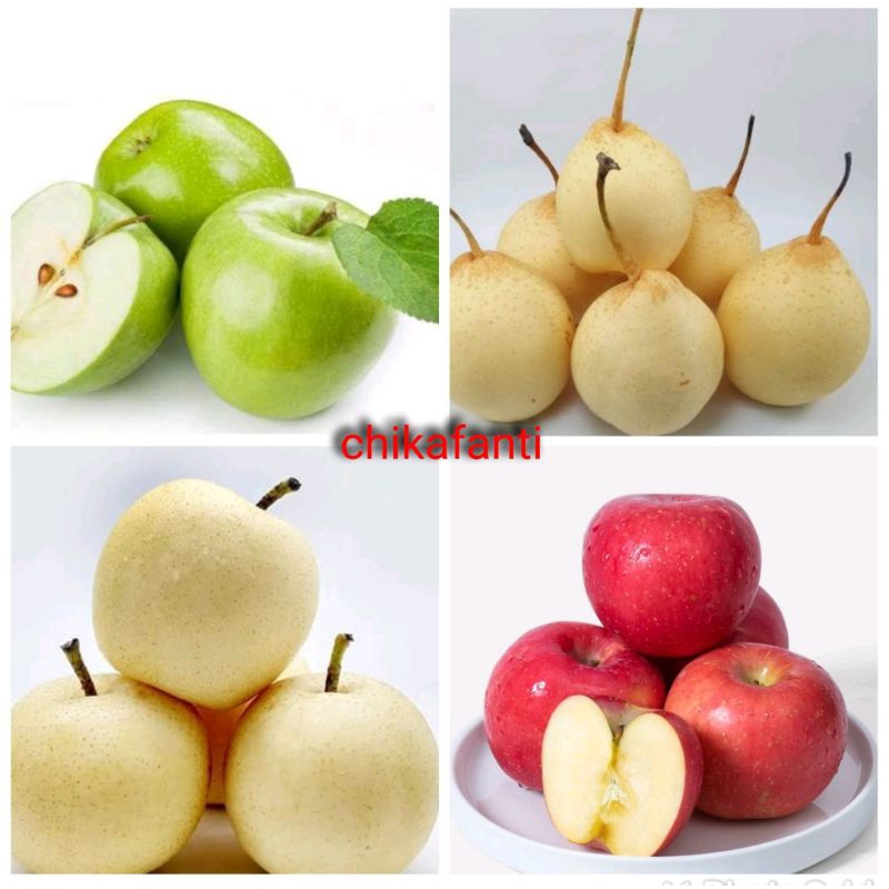 

APEL FUJI IMPORT HARGA 1KG