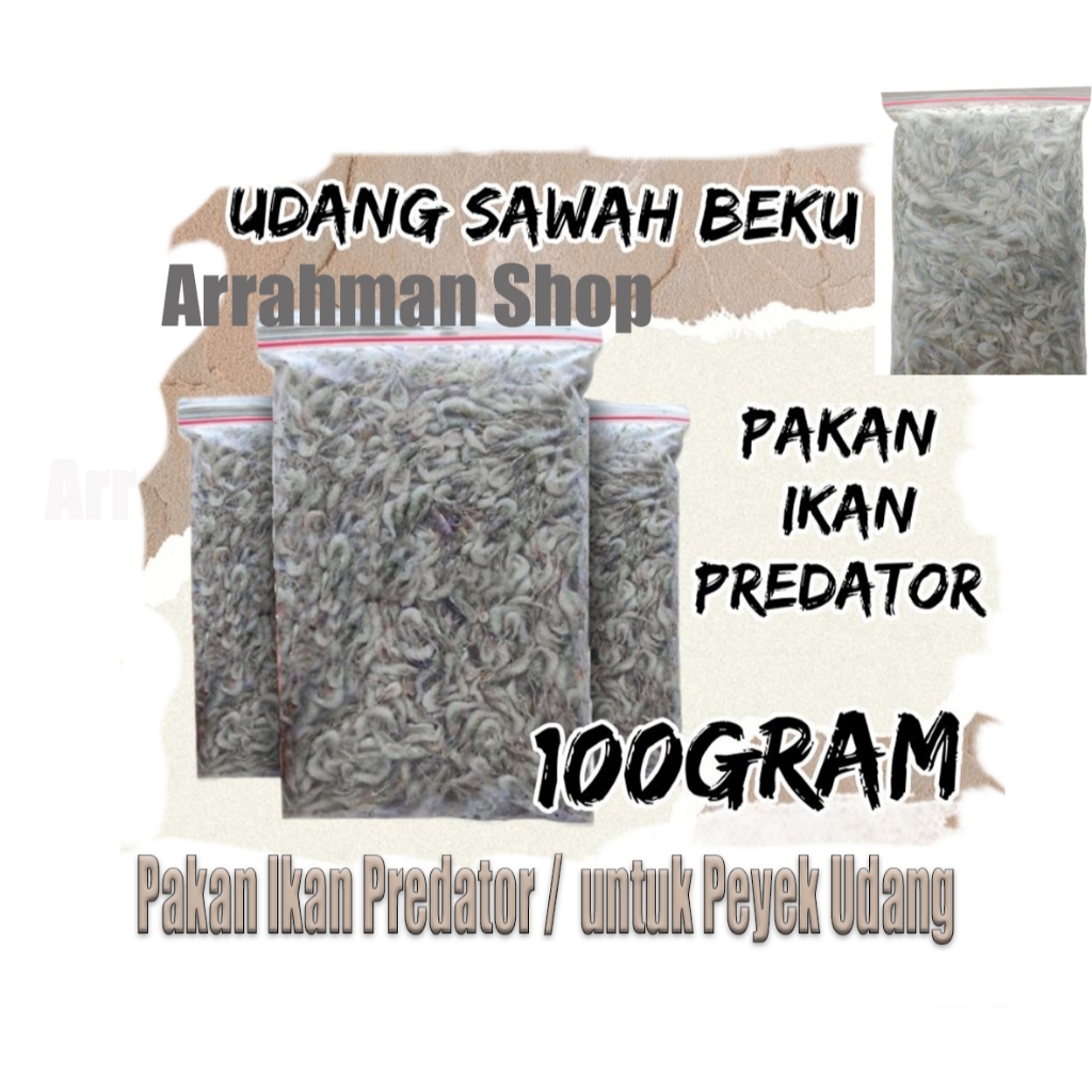 

Udang Sawah Beku 100 gram - Udang Beku Bersih - Udang Beku Fresh Pakan Ikan - Makanan Ikan Udang Beku