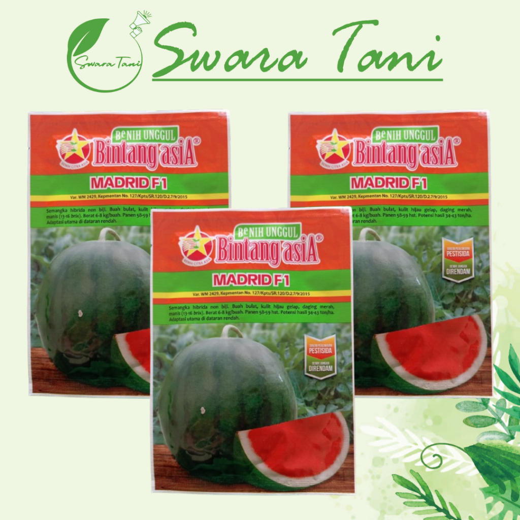 Benih Bibit Semangka MADRID F1 20gram - Bintang Asia
