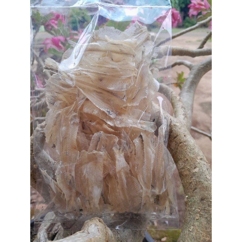 

ikanasinselapankemasan100gram250gram500gram