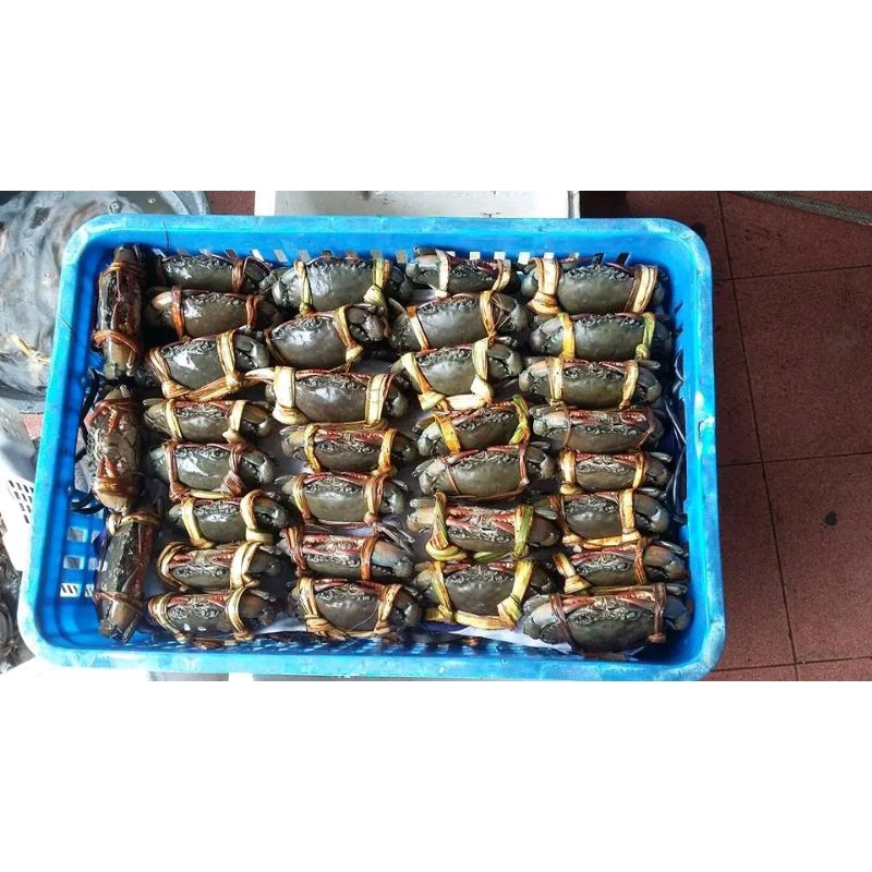 

kepiting segar ukuran besar 500gr