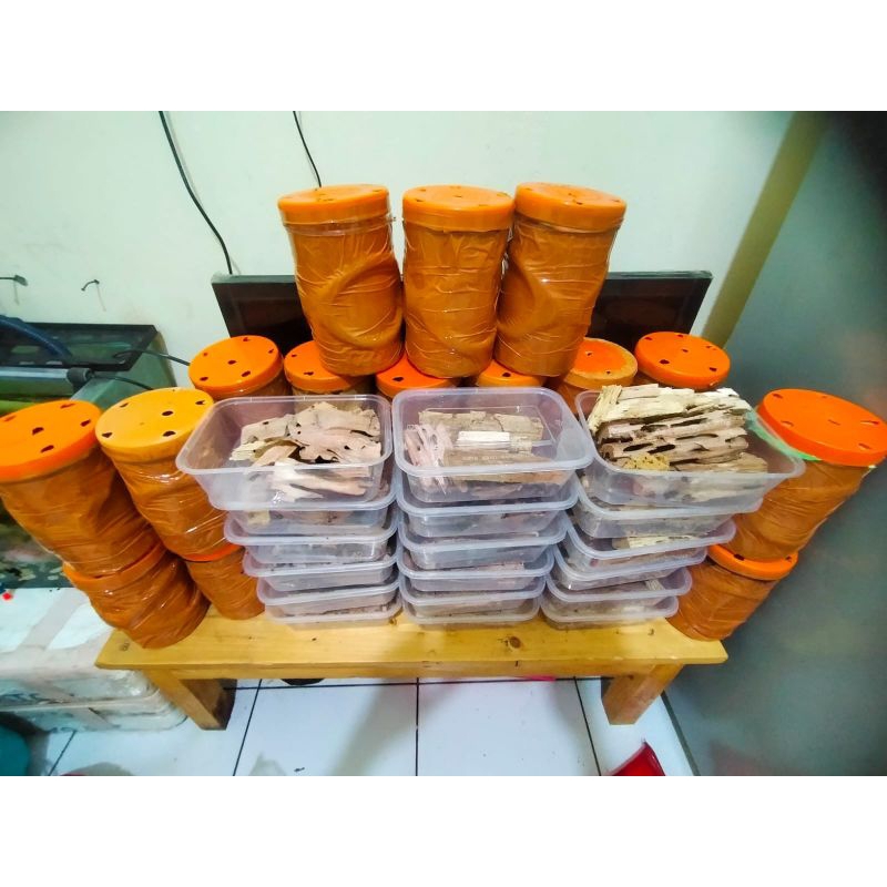 POA/RENGAS UMPAN GACORR SEMUA JENIS IKAN