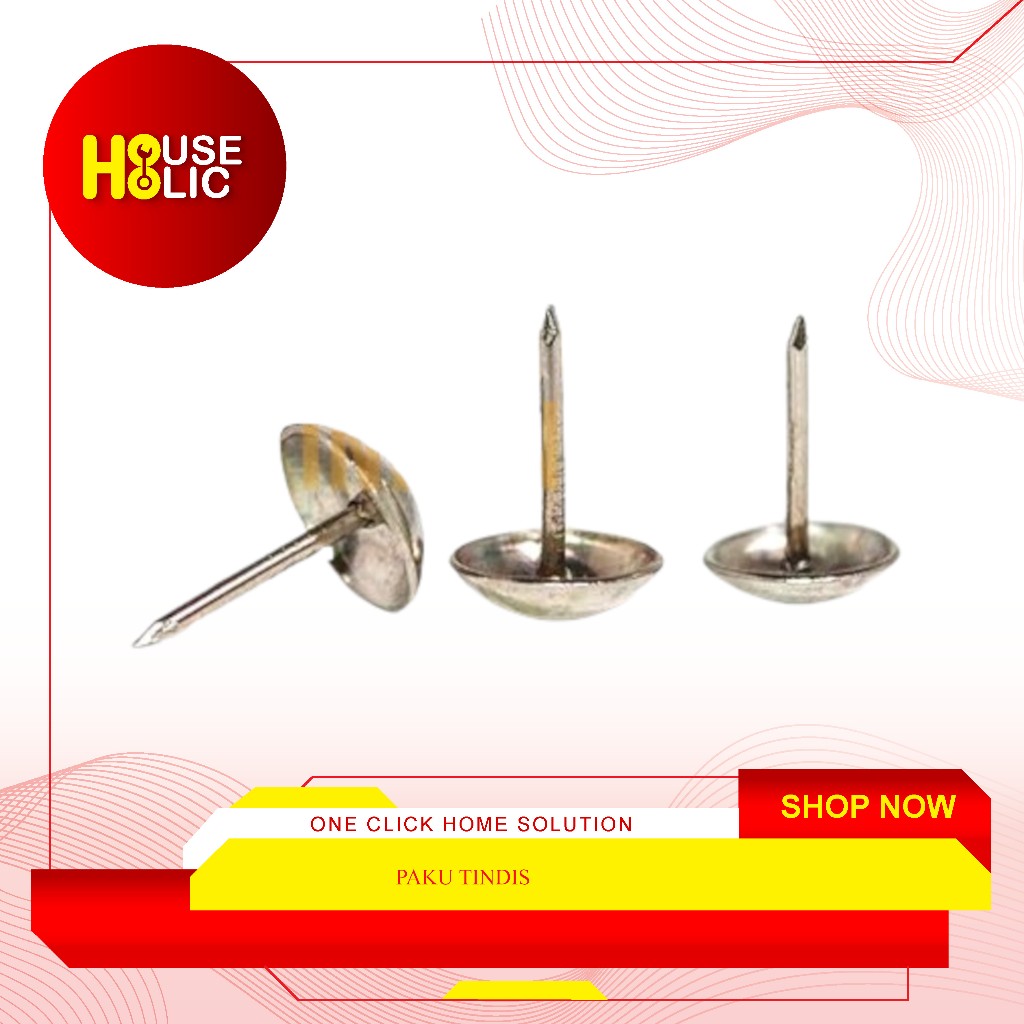 Paku Tindis Payung / Paku Pines Pinus Mading Thumb Per Box Dus Pack