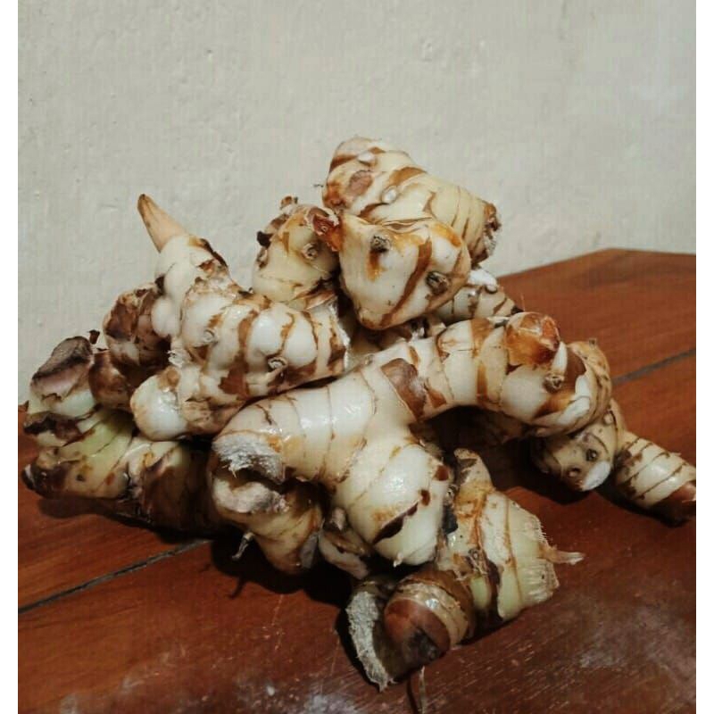 

lengkuas/laos segar ½ kg (ecer & grosir)