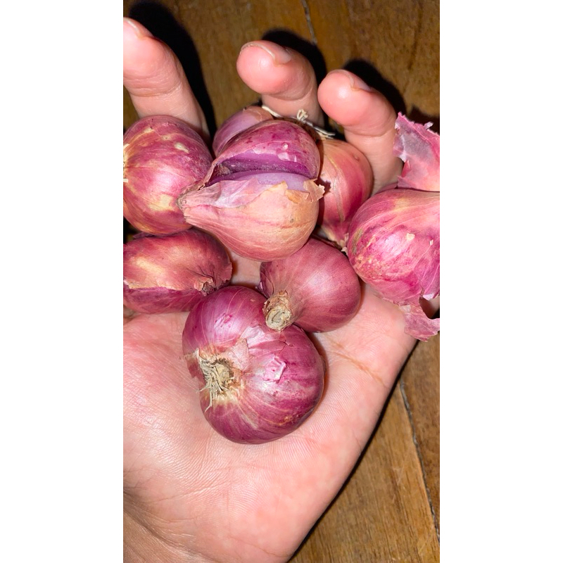 

BAWANG MERAH / BRAMBANG / BAMER UK. TANGGUNG 1000gr