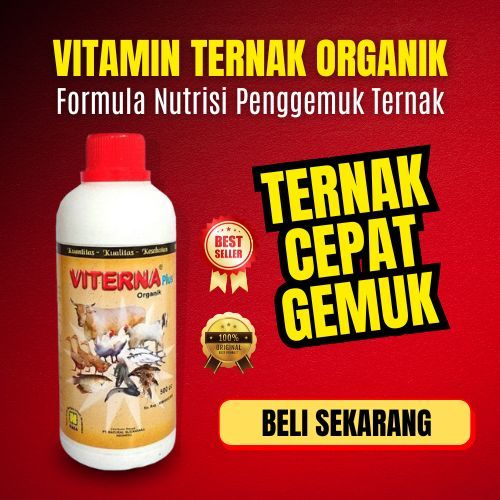 Vitamin Ternak Sapi / Obat Penggemuk Sapi Kambing Ayam Bebek Babi / Vitamin Sapi / Vitamin Ternak Sa