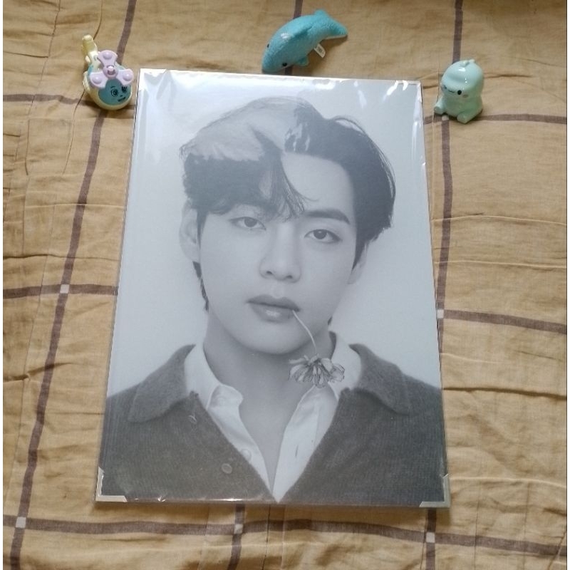 Monochrome BTS Premium Photo V