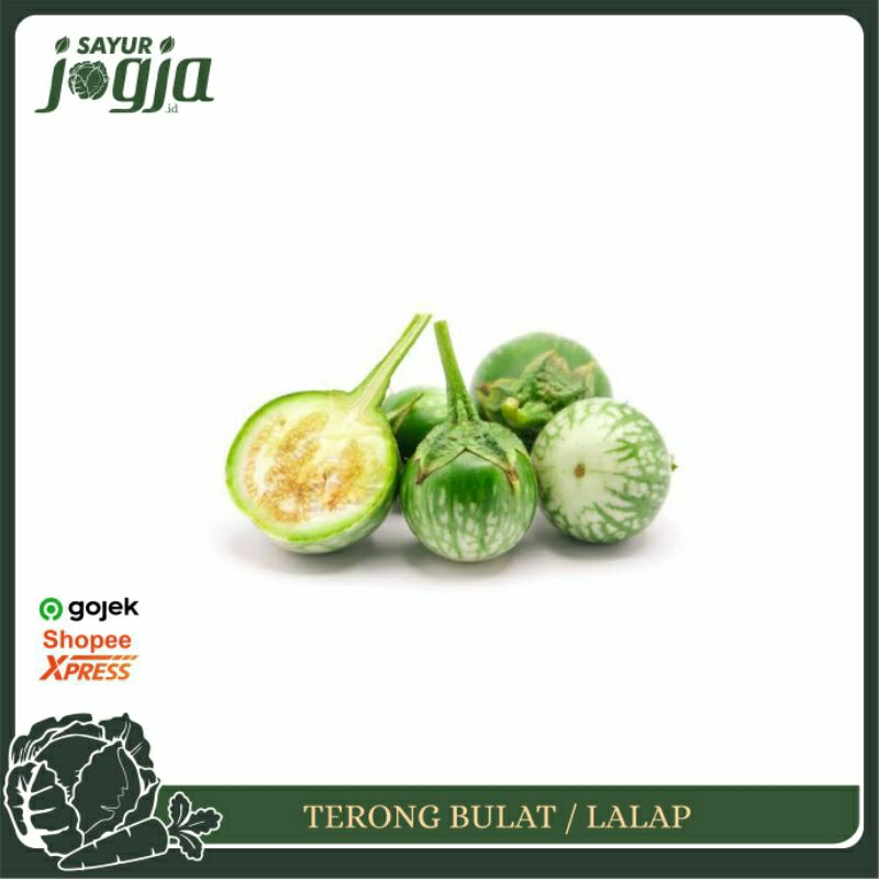 

Terong Bulat Lalap ± 250gr : Sayur Jogja