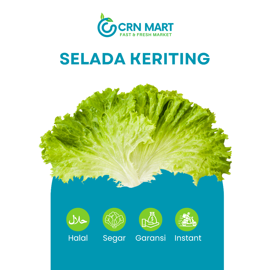 

CRN MART - Selada Keriting Segar/Sayuran Segar/Selada Keriting Fresh