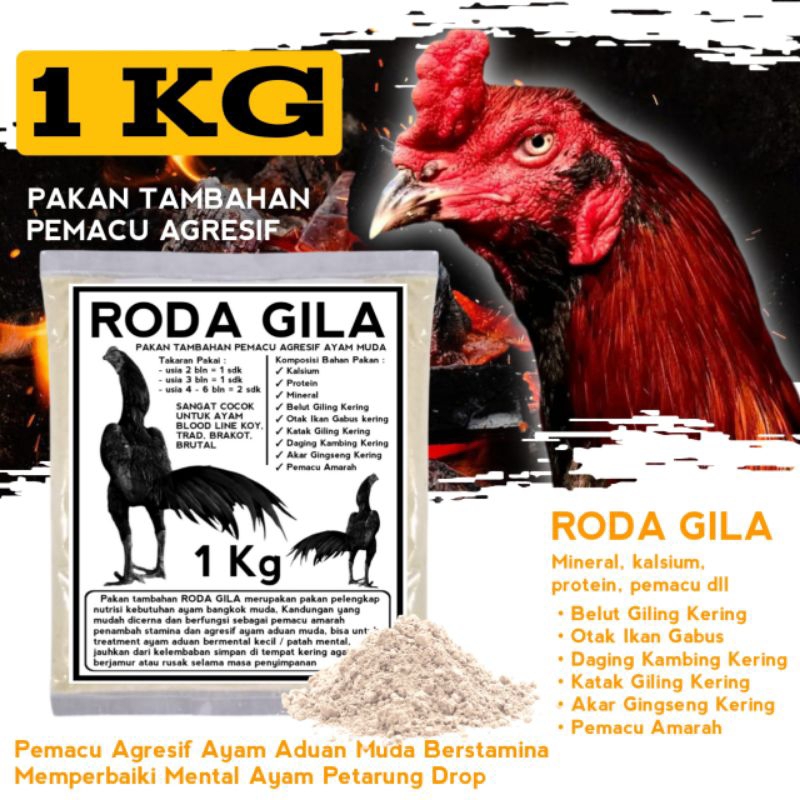 koytrad brakot brutal koyngon ketip bulu pakoy super pakan ayam pemacu agresif